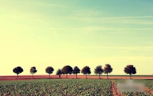 新手如何增加微信好友数量